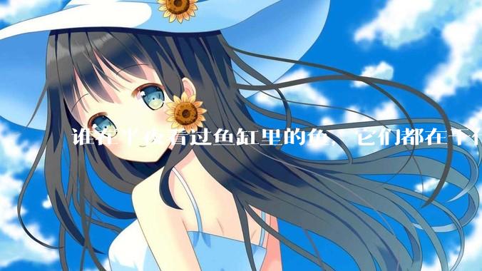 谁在半夜看过鱼缸里的鱼，它们都在干什么？