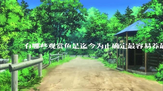 有哪些观赏鱼是迄今为止确定最容易养最不容易死的？