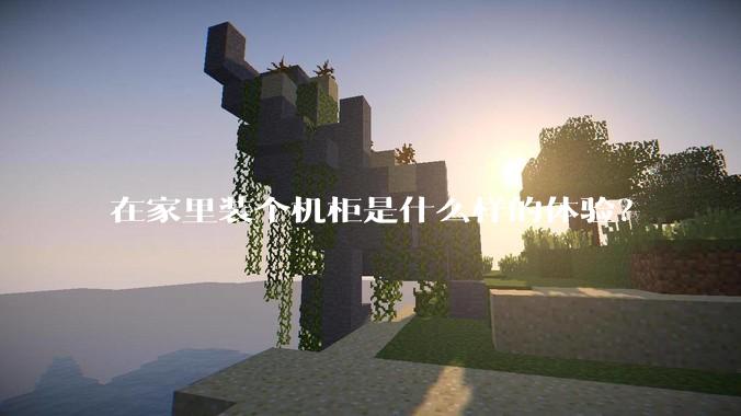 在家里装个机柜是什么样的体验？