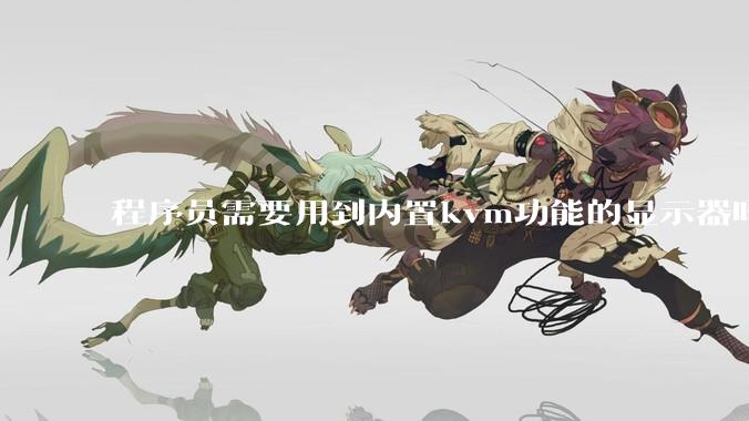 程序员需要用到内置kvm功能的显示器吗？或者是外置的kvm切换器吗？