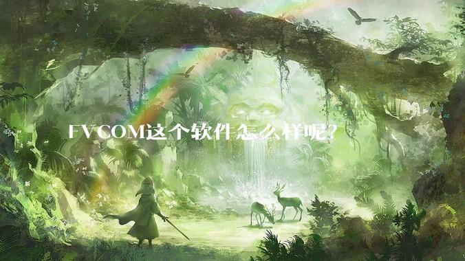 FVCOM这个软件怎么样呢？